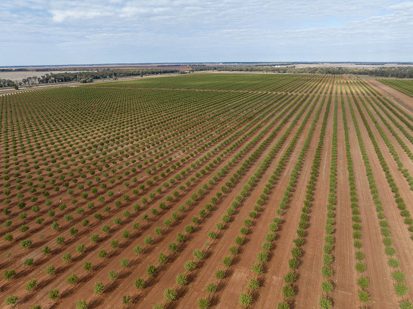 Fertiliser use and GHG emissions being minimised on-farm