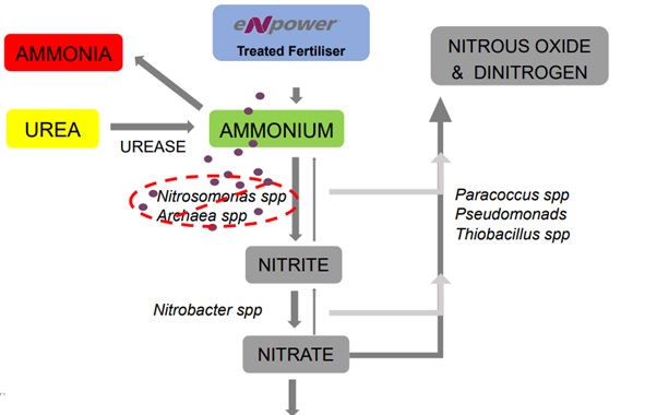 Figure 2: How eNpower works