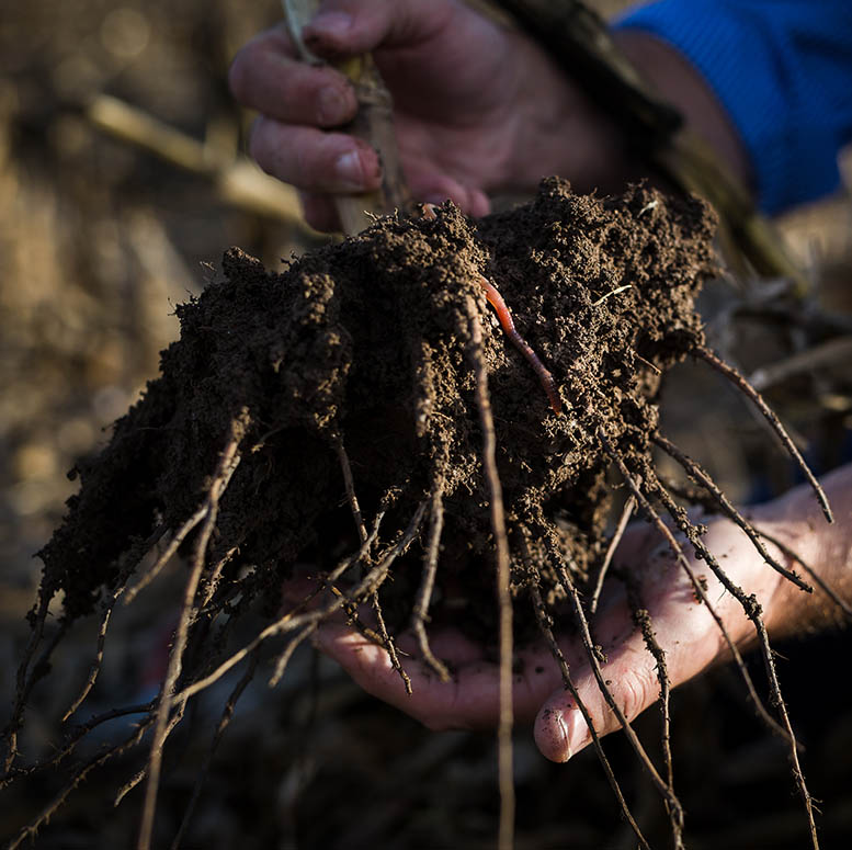 Poor Soil Structure – Have you identified if it is costing you profitability.